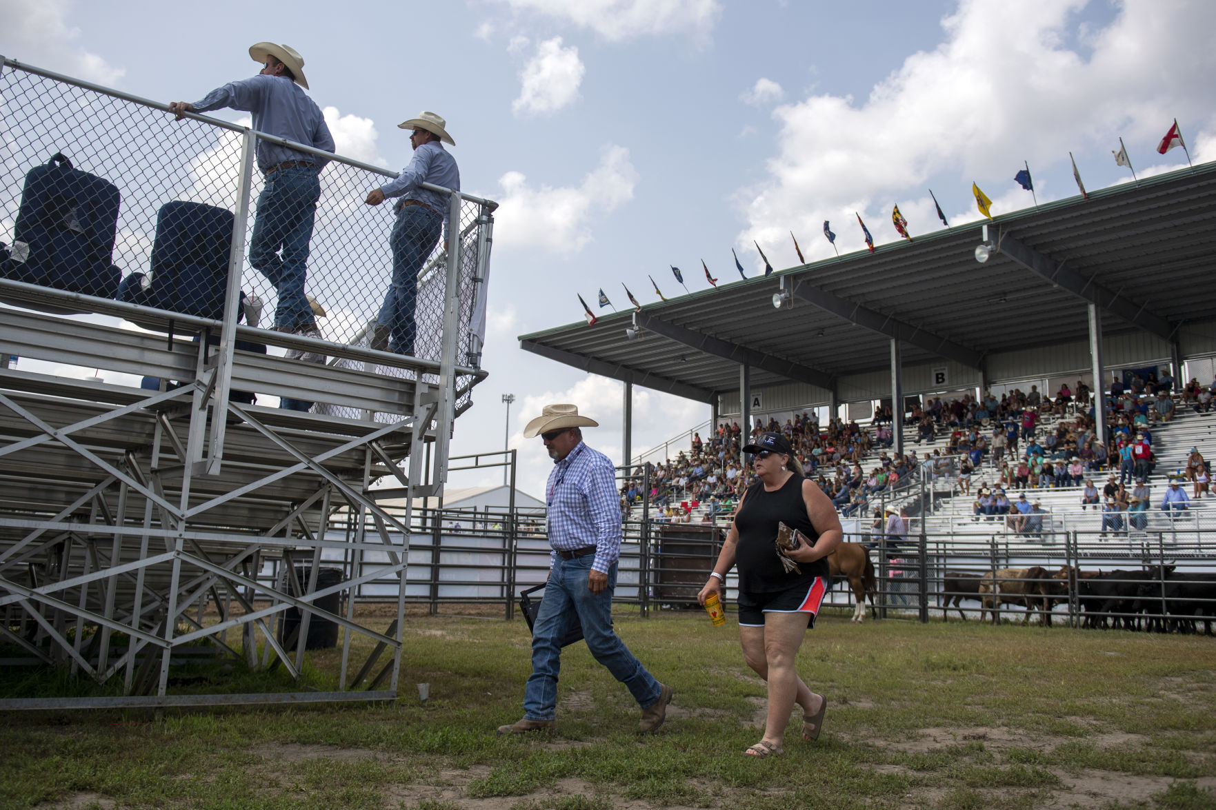 Rodeo, 7.20